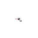 pink_1_1.jpg