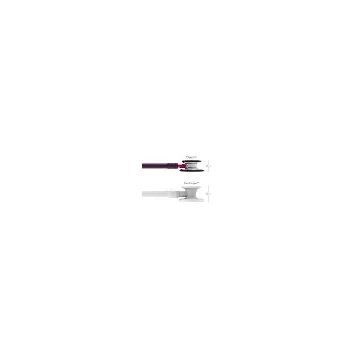 plum_2.jpg